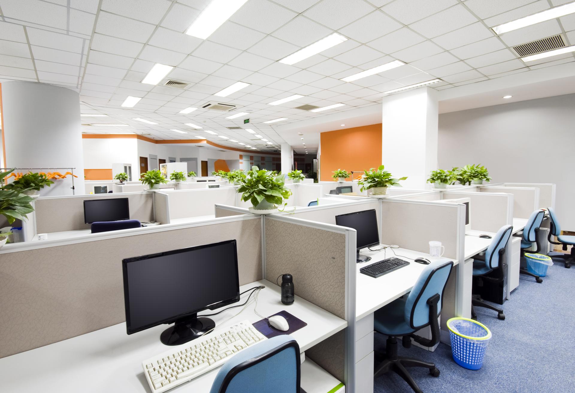 Affordable Business Cleaning in Rosanna